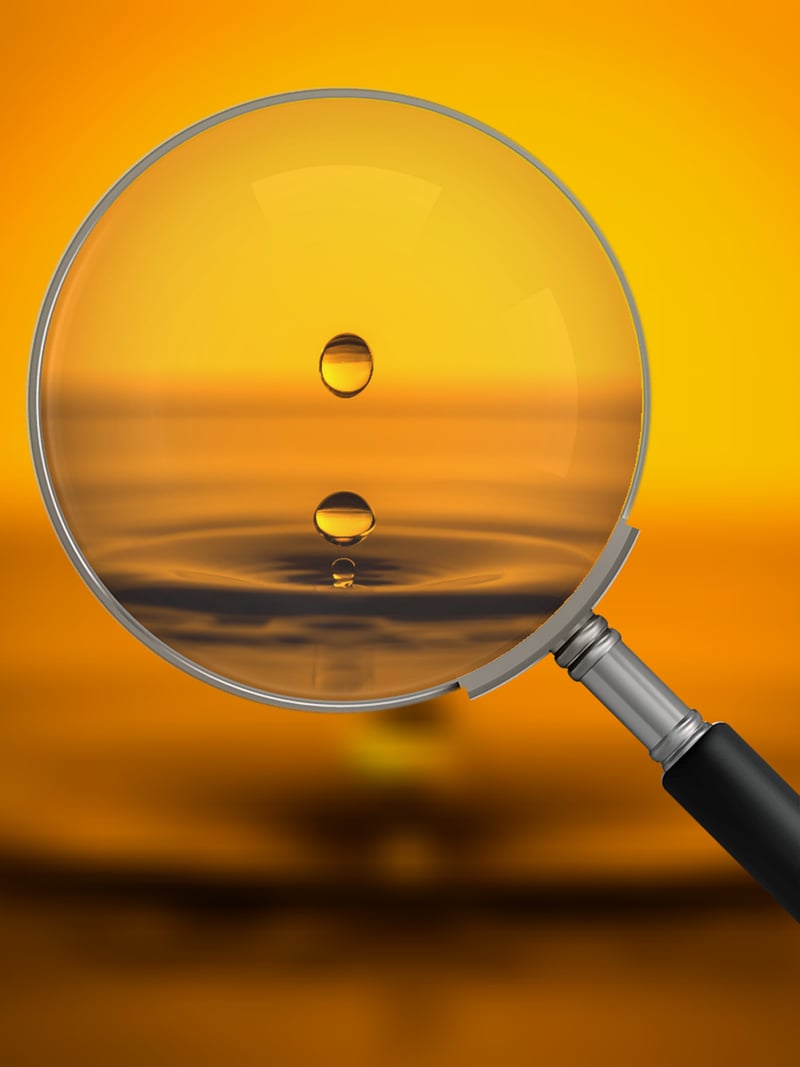 Magnifying Glass Sleuthing